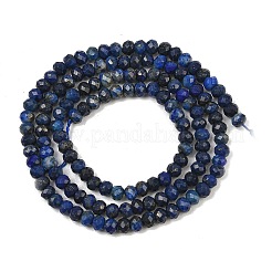 Natural Lapis Lazuli Beads Strands&nbsp;G-L587-B03-02