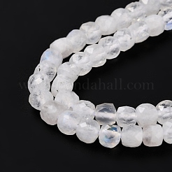 Natural Rainbow Moonstone Beads Strands&nbsp;G-K315-A11