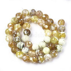 Natural Fire Crackle Agate Beads Strands&nbsp;G-S346-8mm-23