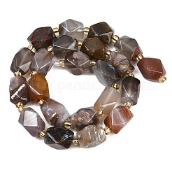Natural Botswana Agate Beads Strands&nbsp;G-P611-B01-01