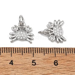 SHEGRACE Brass Clear Cubic Zirconia Charms&nbsp;XGRQ3P356-587P