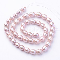 Natural Cultured Freshwater Pearl Beads Strands&nbsp;PEAR-Q003-7mm-01