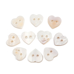 2-Hole Shell Buttons&nbsp;BSHE-P026-19