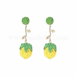 Bohemia Raffia & Alloy Stud Dangle Earrings&nbsp;WG3AA71-03