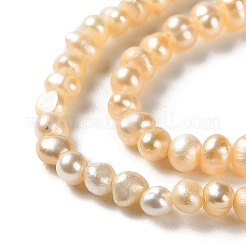 Natural Cultured Freshwater Pearl Beads Strands&nbsp;PEAR-E018-81