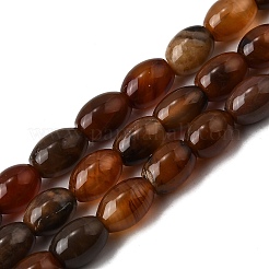 Natural Petrified Wood Beads Strands&nbsp;G-K362-I12-02