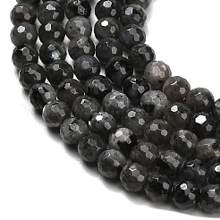 Natural Larvikite Beads Strands&nbsp;G-C280-B06-6mm