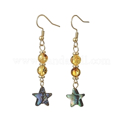 Natural Amber & Abalone Shell/Paua Shell Beads Dangle Earrings&nbsp;EJEW-JE07315-02