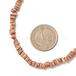 Dyed Natural Freshwater Shell Nuggets Beaded Necklaces&nbsp;NJEW-JN05580-02
