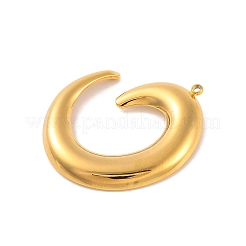 Ion Plating(IP) 304 Stainless Steel Pendants&nbsp;STAS-N103-163G