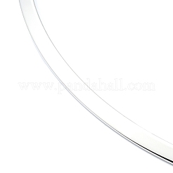 Non-Tarnish 304 Stainless Steel Necklaces&nbsp;NJEW-Z039-01P