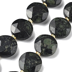 Natural Kambaba Jasper Beads Strands&nbsp;G-C116-A170-03