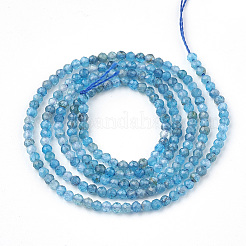 Natural Apatite Beads Strands&nbsp;X-G-T064-17-2mm