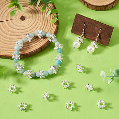 Alloy European Beads&nbsp;FIND-TAC0027-39S