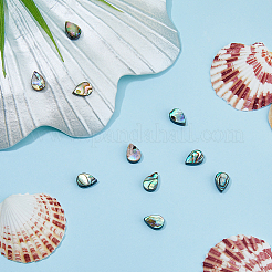 10Pcs Abalone Shell/Paua Shell Beads&nbsp;SSHEL-FI0001-01