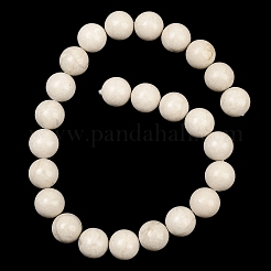 Natural Petrified Wood Beads Strands&nbsp;G-L648-A03-16mm-01