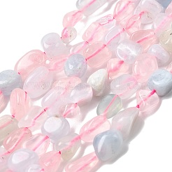 Natural Morganite Beads Strands&nbsp;G-P601-A03-02