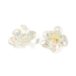 AB Color Transparent Epoxy Resin & ABS Pearl Decoden Cabochons&nbsp;CRES-S367-18B