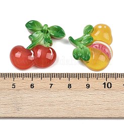 Fruit Opaque Resin Cabochons&nbsp;CRES-A060-02