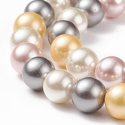 Shell Pearl Bead Strands&nbsp;BSHE-L017-17