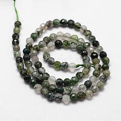 Natural Moss Agate Beads Strands&nbsp;G-D840-25-4mm