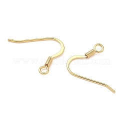 SHEGRACE Brass Earring Hooks&nbsp;XGR0139G-152G