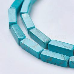 Natural Magnesite Beads Strands&nbsp;TURQ-K003-13