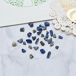 Natural Lapis Lazuli Chip Beads&nbsp;G-CJ0001-25
