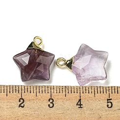 Natural Amethyst Pendants&nbsp;G-P540-01G-10
