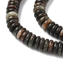 Natural Biotite Beads Strands&nbsp;G-B155-B04-4x10mm