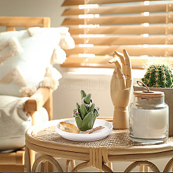 2Pcs 2 Styles Cactus Aloe Porcelain Jewelry Plates&nbsp;DJEW-PH0001-58