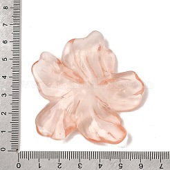 Transparent Resin Cabochons&nbsp;RE-CBAEB2B-01A