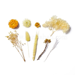 Dried Flowers&nbsp;DIY-D052-20