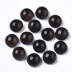 Translucent Glass Cabochons&nbsp;GLAA-T023-03A