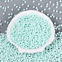 Opaque Glass Seed Beads&nbsp;SEED-N012-09A-06