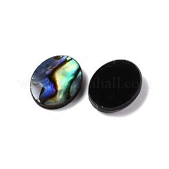 Natural Paua Shell Epoxy Resin Cabochons&nbsp;SSHEL-S279-01G
