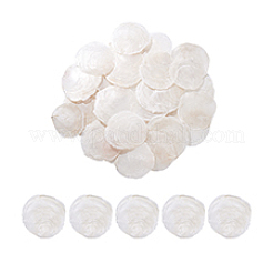 60Pcs Naturtal Capiz Shell Beads&nbsp;FIND-PH0026-67