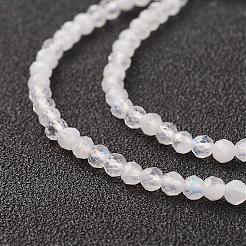 Natural Rainbow Moonstone Bead Strand&nbsp;G-G680-53