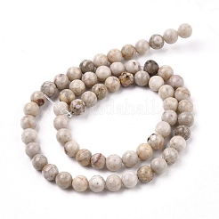 Natural Maifanite/Maifan Stone Beads Strands&nbsp;X-G-I187-6mm-01