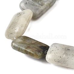 Natural Labradorite Beads Strands&nbsp;G-S386-A03
