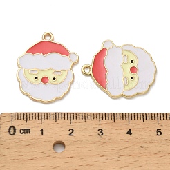 Alloy Enamel Pendants&nbsp;FIND-Z096-01G-02