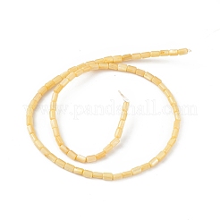 Natural Freshwater Shell Dyed Beads Strands&nbsp;SHEL-M018-12