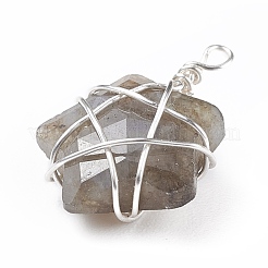 Natural Gemstone Pendants&nbsp;PALLOY-JF01457-02