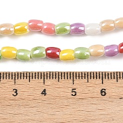 Handmade Porcelain Beads Strands&nbsp;PORC-B008-01A