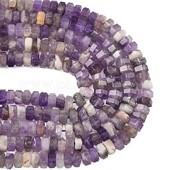 Natural Amethyst Beads Strands&nbsp;G-L654-I03-01