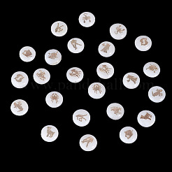 24Pcs 12 Styles Natural Freshwater Shell Beads&nbsp;SHEL-TA0001-42