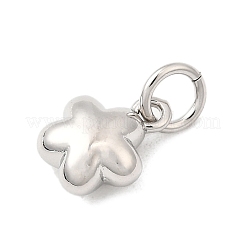 Brass Pendants&nbsp;KK-I364-23P