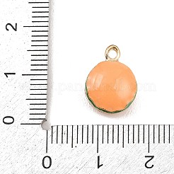 Hamburger Alloy Enamel Charms&nbsp;LS-ENAM-P264-01B-G