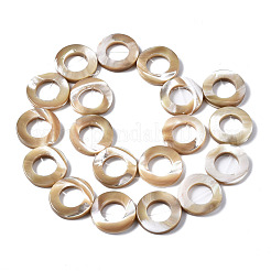 Natural Trochid Shell/Trochus Shell Beads Strands&nbsp;SSHEL-N032-23B-01