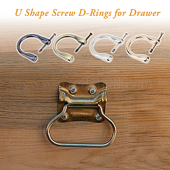 8Pcs 4 Colors Alloy D-Ring Anchor Shackle Clasps&nbsp;FIND-DC0005-59